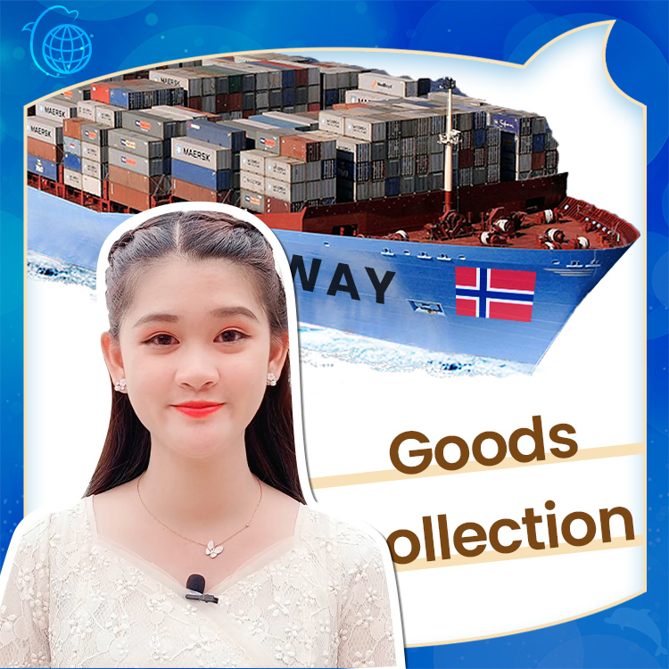 Sea freight Freight Forwarding From China to Norway - Blue Dolphin